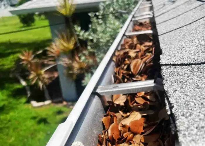 Buffalo gutter cleaning home page